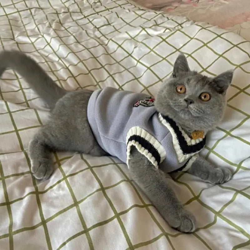 Pet Clothes Winter Jacket Christmas Sweater