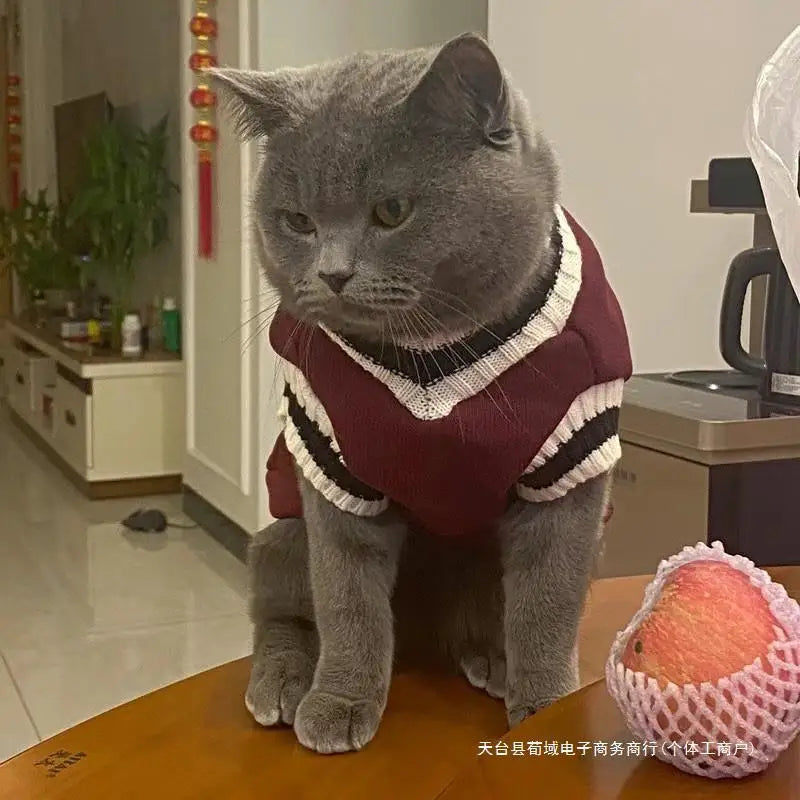 Pet Clothes Winter Jacket Christmas Sweater